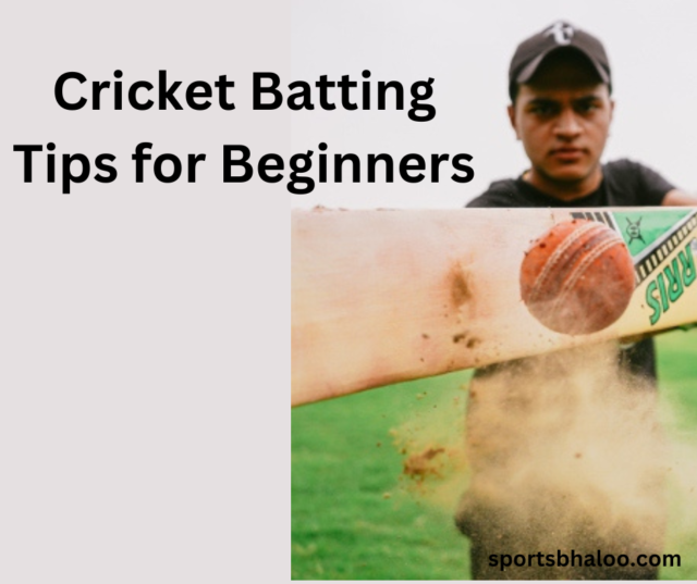 Cricket Batting Tips for Beginners